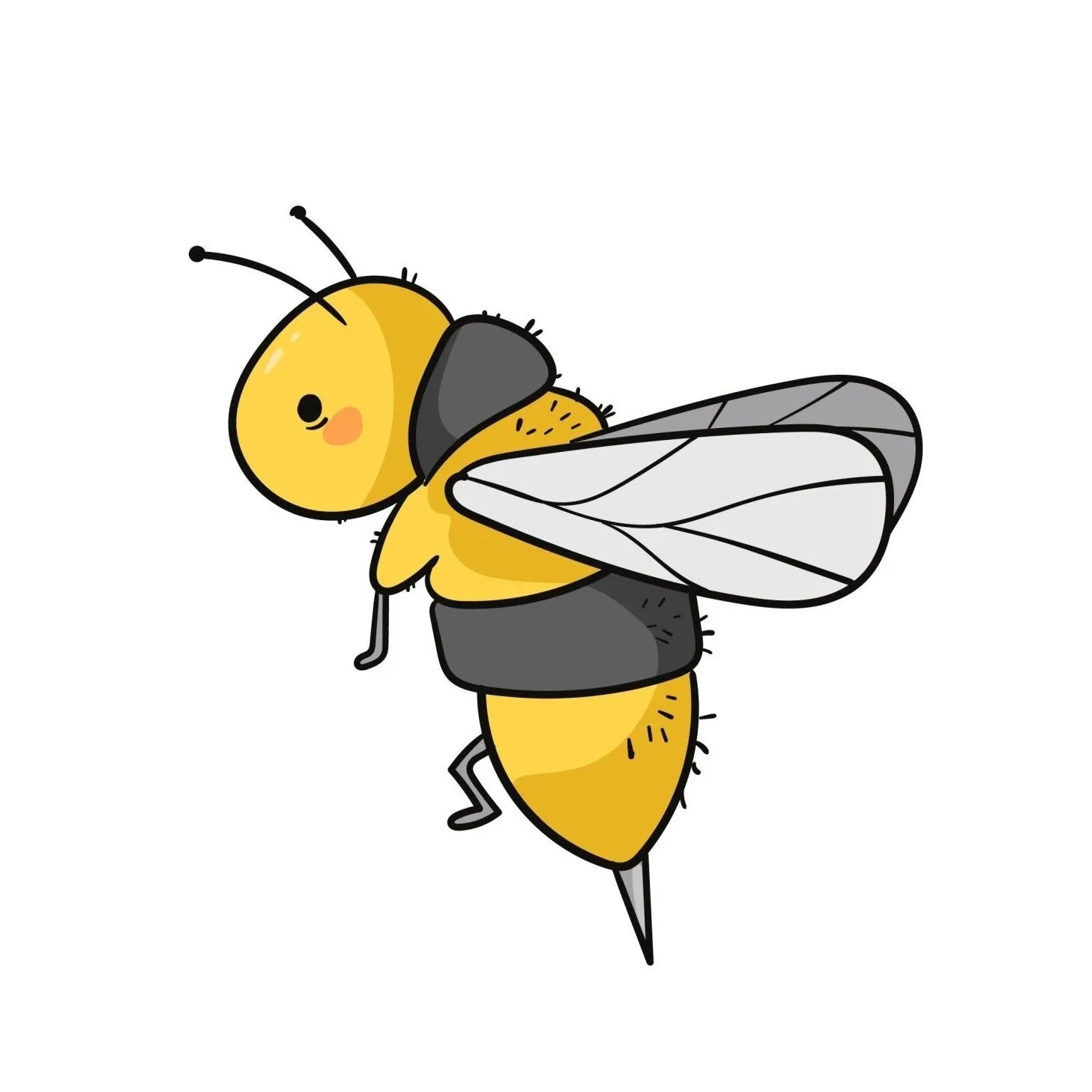 Bee DIY Canvas Base for Painting
