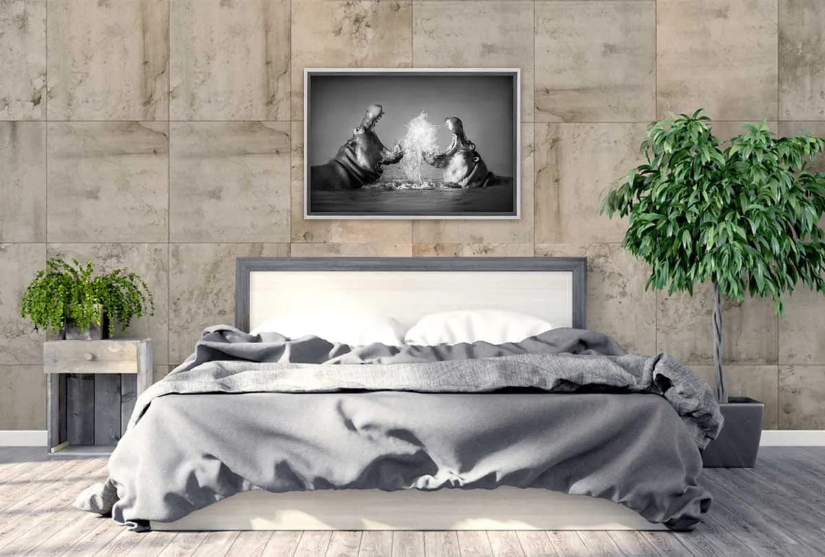 Hippo Rumble | Canvas Wall Art Print