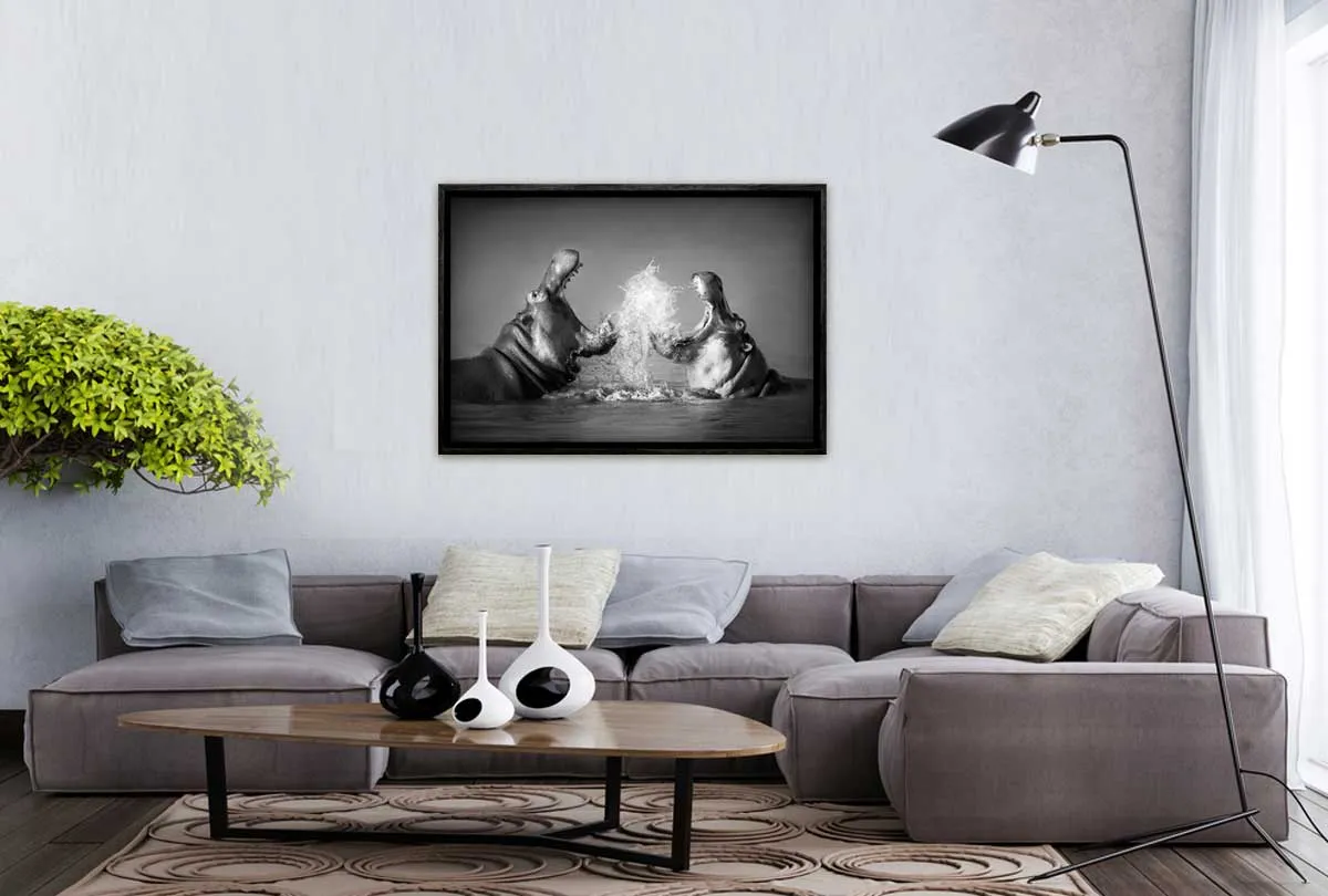 Hippo Rumble | Canvas Wall Art Print