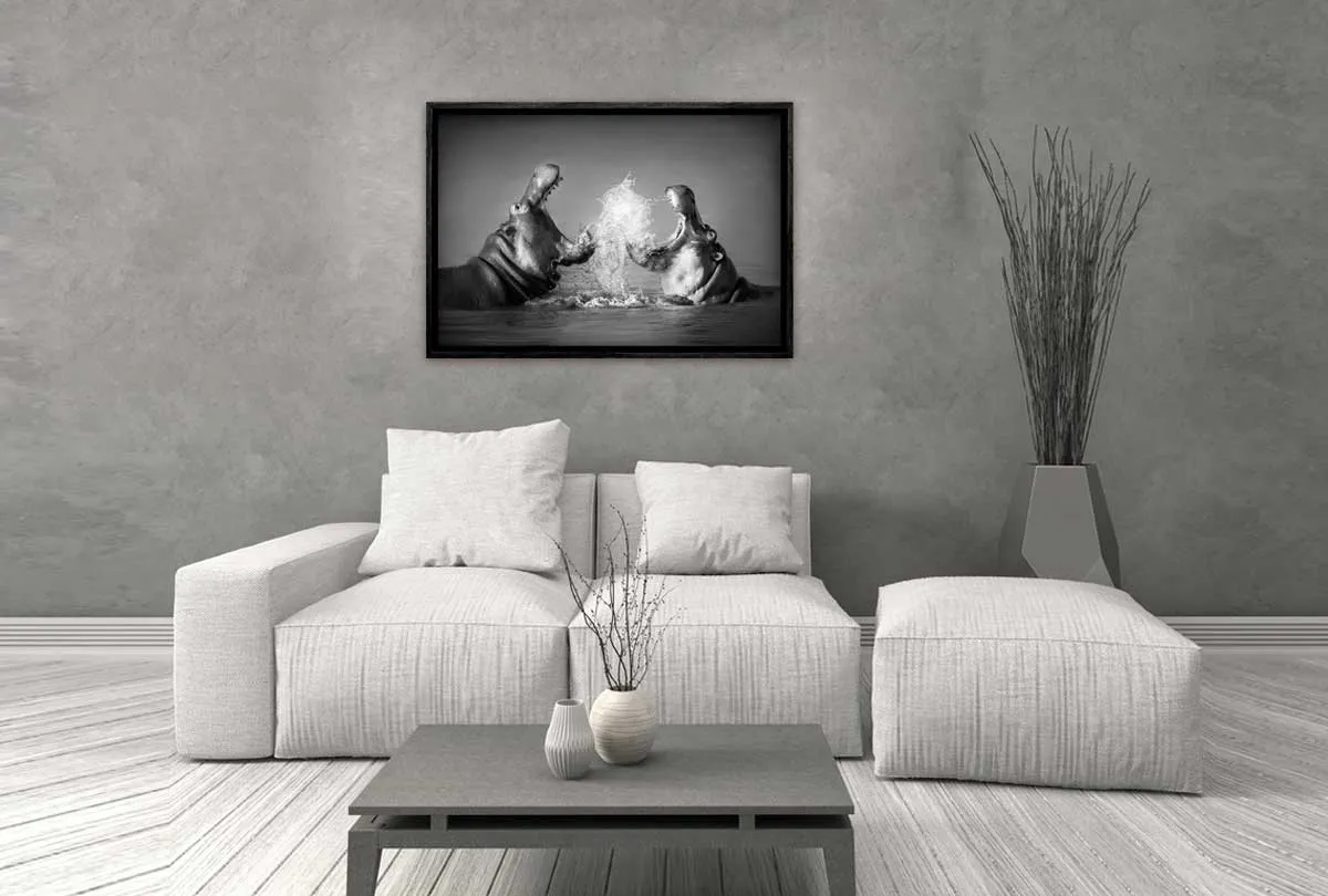 Hippo Rumble | Canvas Wall Art Print