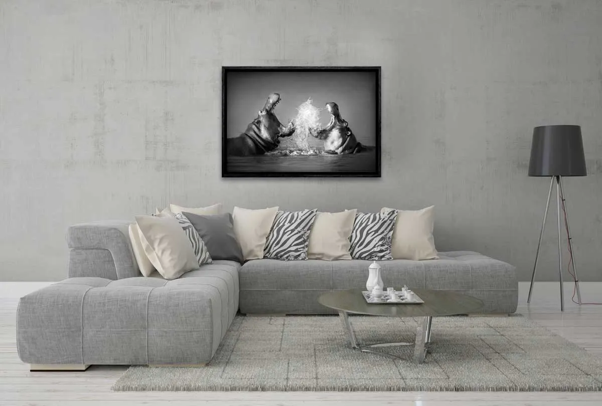 Hippo Rumble | Canvas Wall Art Print